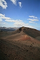 Kanary_2010 127